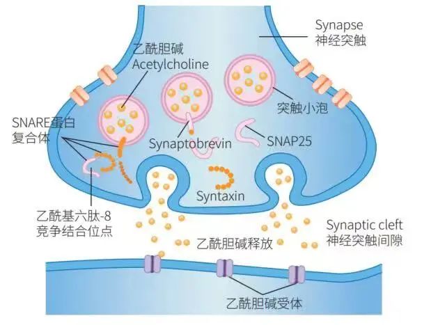1649206427779016.jpg 微信图片_20220323102911.jpg