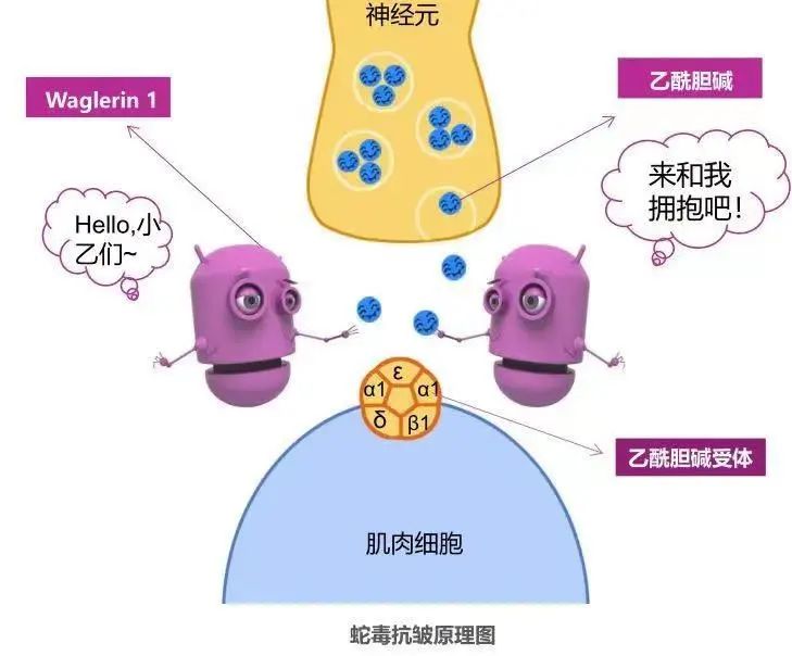 1649206441939637.jpg 微信图片_20220323103237.jpg