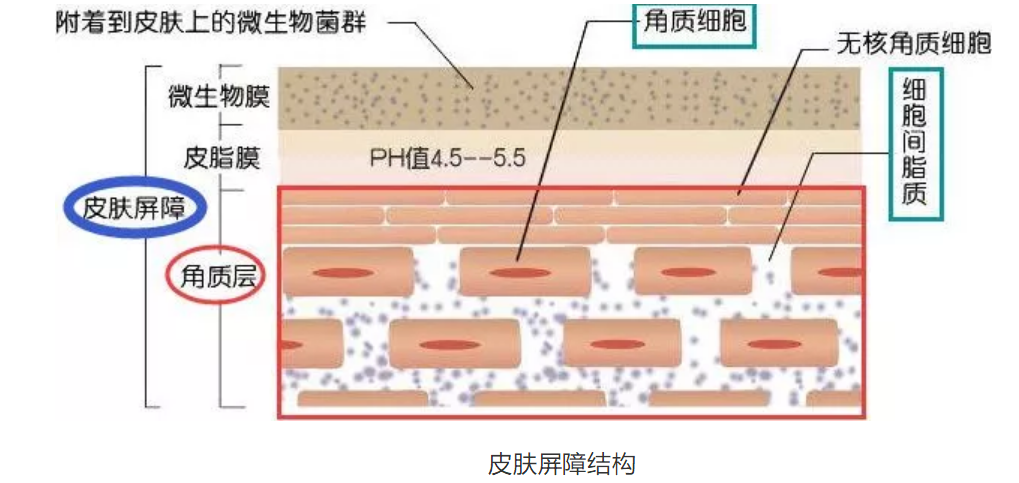 1658104924815736.png 微信图片_20220712115718.png