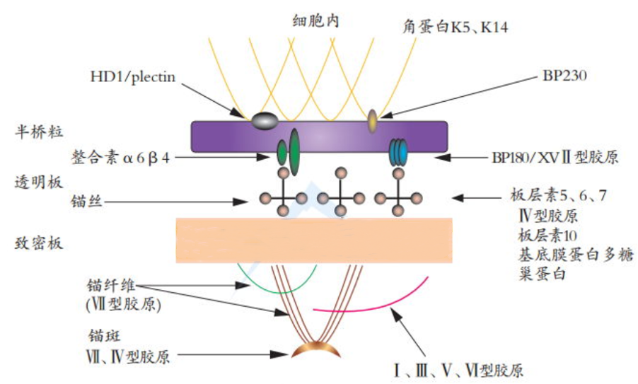 1659919086419385.png 微信图片_20220801155513.png