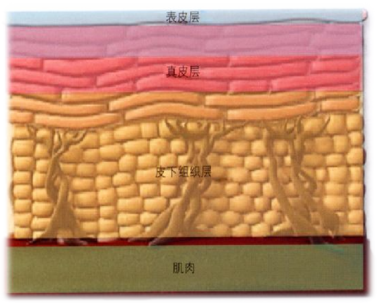 1663547412778013.png 微信图片_20220919082959.png