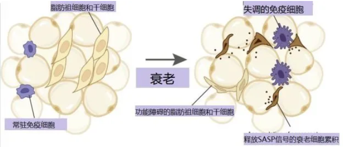 1663547553531657.png 微信图片_20220919083222.png