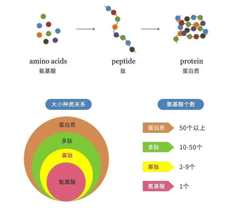 1668127132687141.jpg 微信图片_20221110094040.jpg