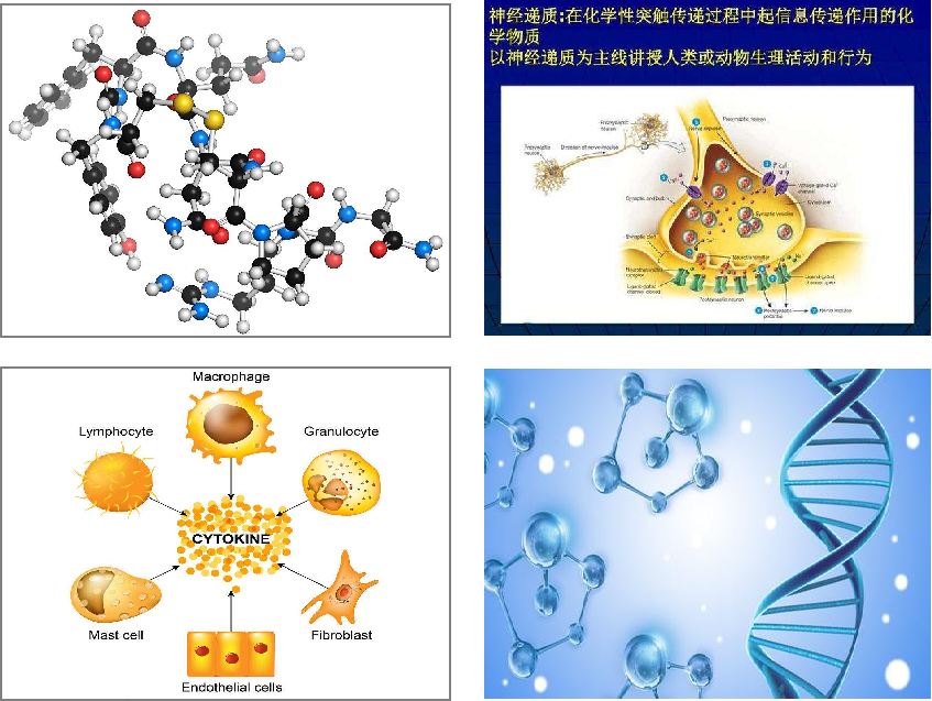 1668127324301622.png 图片1.png